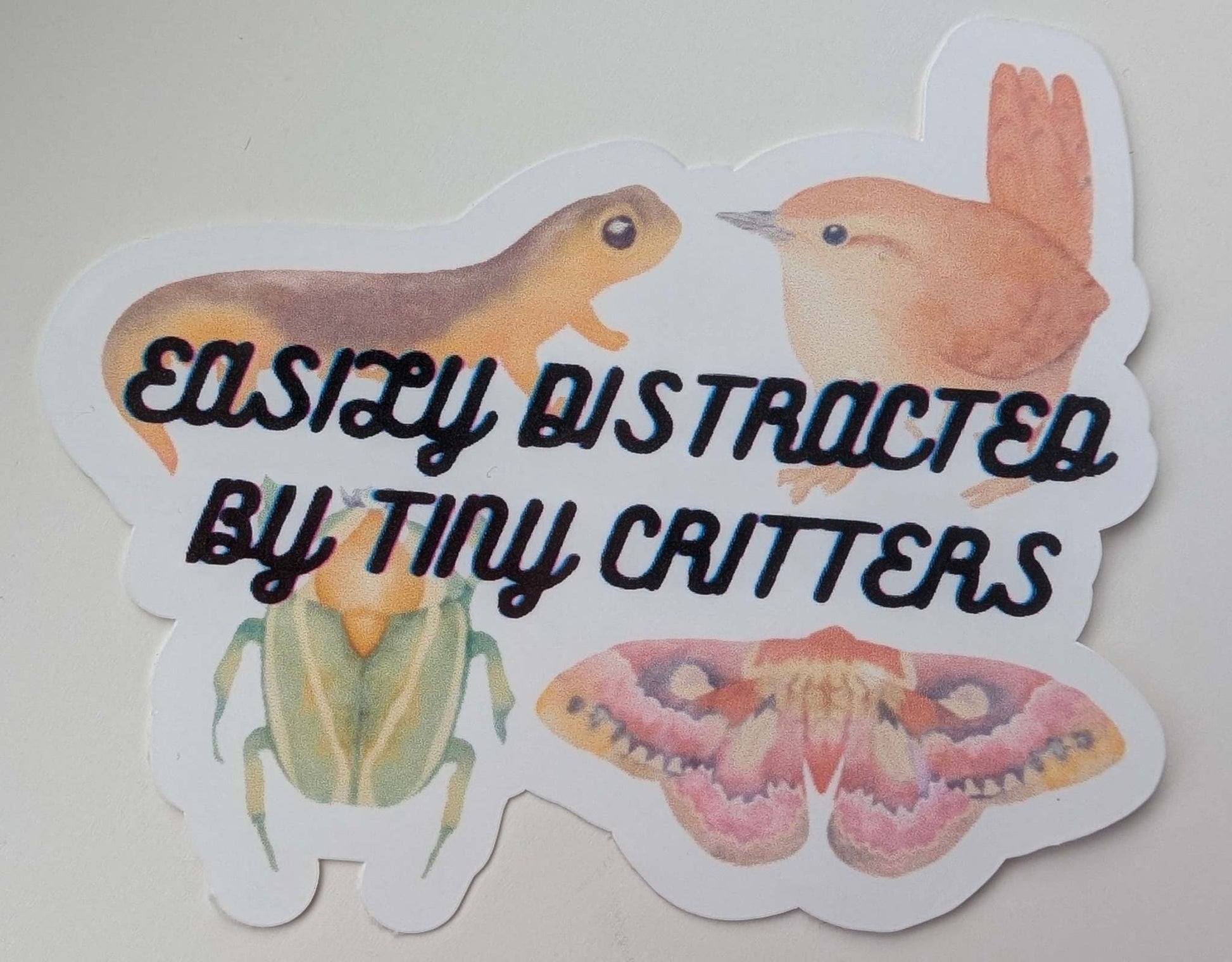 sticker with a moth, newt, beetle, and bird that says easily distracted by tiny critters