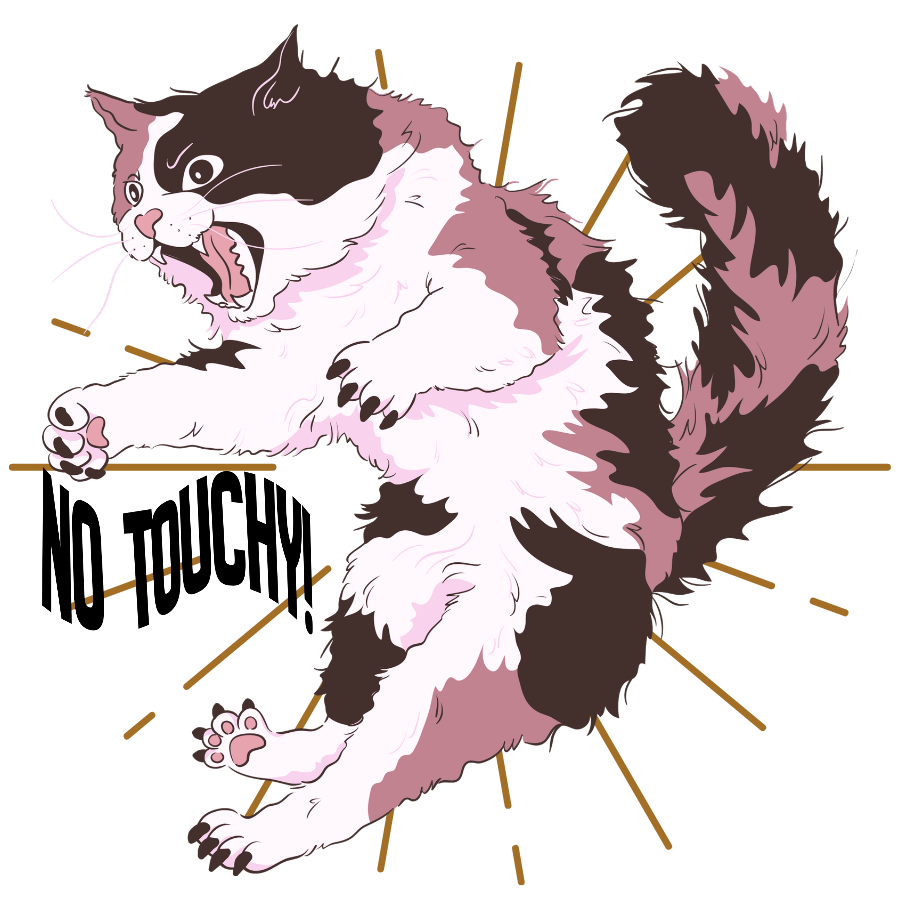 a cat hissing and the words no touchy